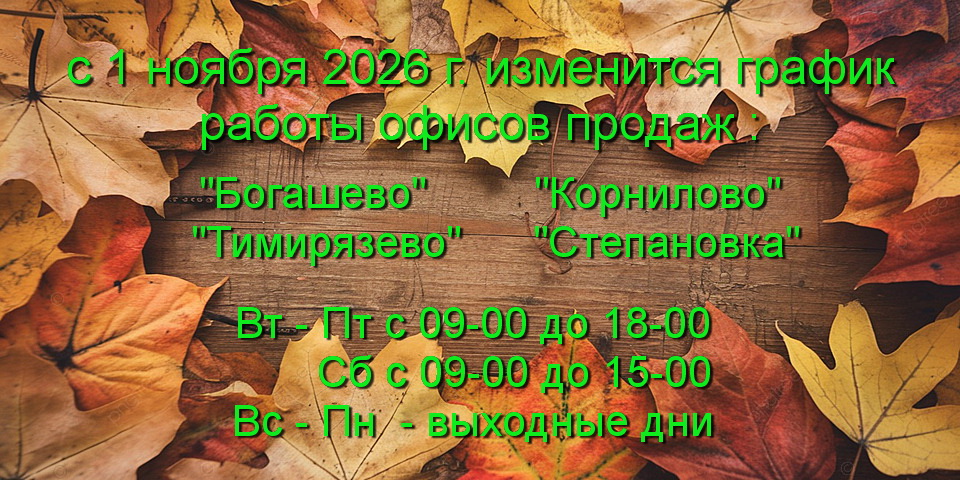 график 1 ноября
